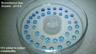 Bromothymol Colour Change  Sulfur Dioxide [upl. by Rockafellow]