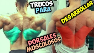 TRUCOS Para DESARROLLAR 📢 Unos DORSALES Grandes Y Musculosos  Gana Una ESPALDA 👉 En Forma De V [upl. by Eniamreg]