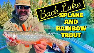 Fishing For Splake and Rainbow Trout in Northern Ontario  Flint Wilderness Lodge Back Lake Trip [upl. by Woodberry]