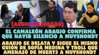 AUDIO MEJORADO Araujo se delata y sigue mismo guión de Medina y troll que amenazó a Muyshondt [upl. by Kerril808]