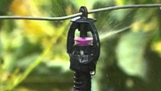 Microirrigatore SuperNet LR NETAFIM [upl. by Ailsa286]