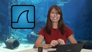 HakTip  How to Capture Packets with Wireshark  Getting Started [upl. by Accalia]