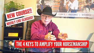 DC Confidence Will Amplify Your Horsemanship [upl. by Aneeuq]