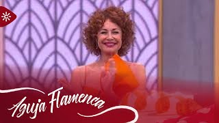 Aguja Flamenca  Programa 8 [upl. by Netsirhk532]