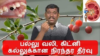 palvali treatment in tamil  healer baskar kidney stones  healer baskar maru [upl. by Ahsenroc135]