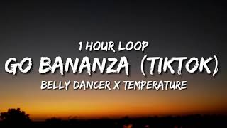 Belly Dancer x Temperature 1 hour loop  TikTok Remix Dont Be Shy Girl Go Bananza [upl. by Aonian668]