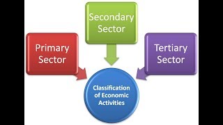 Sectors of Economy  Primary Secondary Tertiary Quaternary Quinary [upl. by Ferro605]