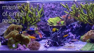 Amazing Aquariums amp Reefs Lives Up To Its Name [upl. by Malkin]