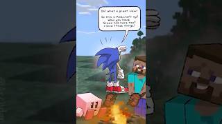 Sonic and Minecraft dont mix well [upl. by Oidiple]