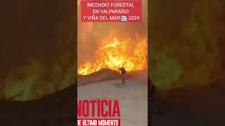 INCENDIO FORESTALES EN VIÑA DEL MAR CHILE [upl. by Tnerual948]