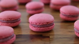 How to Make Macarons  French Macarons Recipe [upl. by Nari]