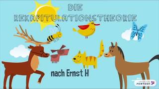 Rekapitulationstheorie nach Ernst Haeckel [upl. by Atinnod509]