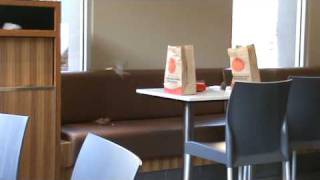 Sparrows enjoying a meal at Mcdonalds lol [upl. by Latisha]