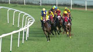 RACE NO  34  RENEGADE WINS  The Fastnet Rock Handicap [upl. by Einnig147]