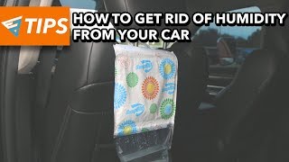 How To Get Rid of Humidity From Your Car  EZ Tips Ep28 [upl. by Aicilla]