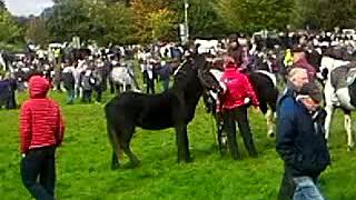 Ballinasloe fair 2019 [upl. by Notyad]