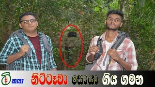 nittawa  නිට්ටෑවා සොයා ගිය ගමන  tikaya [upl. by Holsworth]