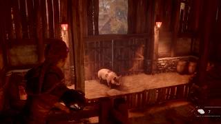 A Plague Tale Innocence PS4  Sacrificing a pig [upl. by Eskil]