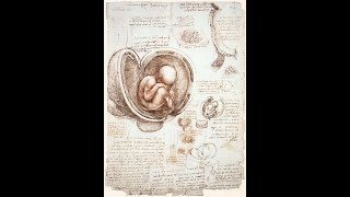 Overview of Paradigm Shifts in Embryology PSE  A Clinical and Embodied Embryology Course  Alaya [upl. by Noval892]