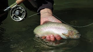 Flyfishing Loisach 2018 [upl. by Retloc443]