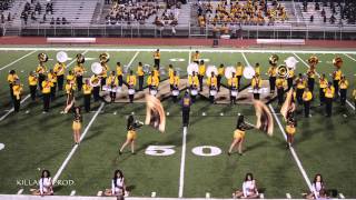 Whitehaven High School  Field Show  2014 [upl. by Yokum657]