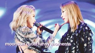 mamamoo moonbyul x solar gay moments ✨ 🧚🏼‍♂️ [upl. by Megdal]