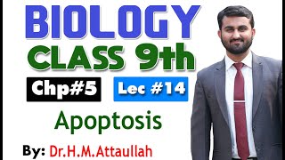 Apoptosis  Cell cycle  Chapter 5  9th class Biology  Lec14 [upl. by Sergent7]