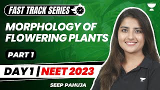 Morphology of Flowering Plants  Part 1  Fast Track Revision NEET 2023  Seep Pahuja [upl. by Jamnis134]