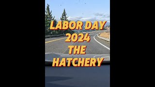 Hatch Labor Day 2024 [upl. by Katharina]