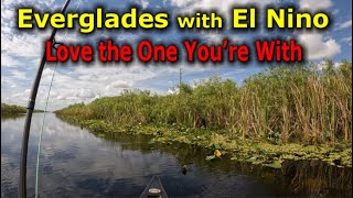 Everglades with El Nino  Alligator Alley Fly Fishing [upl. by Nwahsed]