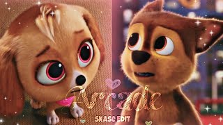 Chase amp Skye  Arcade PAW Patrol The Mighty Movie [upl. by Hsemar]