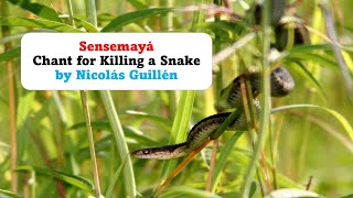 Sensemayá Chant for killing a snake by Nicolás Guillén [upl. by Ive]