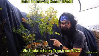 2023 in Review  Every Tree UPDATE  BonsaiYEAH [upl. by Ragan]