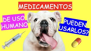 ¿Se puede USAR MEDICAMENTOS DE USO HUMANO en MASCOTAS [upl. by Namreh]