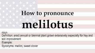 How to pronounce melilotus  meaning [upl. by Eitsrik941]