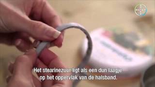 How to put a Seresto collar on your cat  Pharmacy4petscom [upl. by Filler]