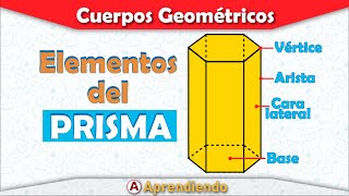 🔷ELEMENTOS DEL PRISMA  PARTES DEL PRISMA  ¿Cuáles son los elementos de los prismas  SÚPER FÁCIL [upl. by Arsi840]