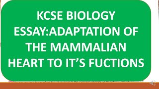 KCSE ESSAYEXPLAIN HOW A MAMMALIAN HEART IS ADAPTED TO ITS FUNCTIONS [upl. by Downall617]