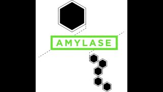 Effect of temperature on the activity of salivary amylase on starch [upl. by Edd716]