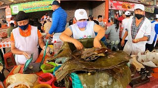 Así es el Pabellón Gastronómico del Tianguis de Actopan días Miércoles [upl. by Yann]