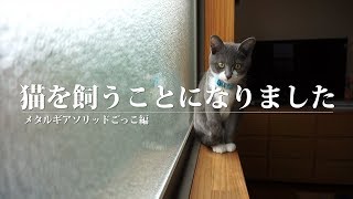 猫を飼うことになりました。 メタルギアソリッドごっこ編 [upl. by Attayek]