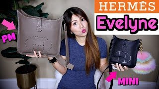 Hermes EVELYNE MINI VS PM  LOVE OR HATE WHAT FITS COMPARISON  CHARIS [upl. by Netloc]