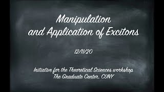 Insights from a Million Electronic Excitation Calculations  Ari Chakraborty [upl. by Brottman]