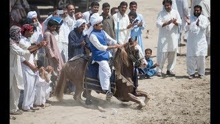 top best horse riders showing  horse riding skills  horse riding information  tent pegging 2017 [upl. by Trilley]