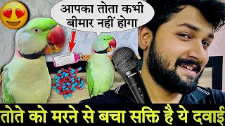 तोते कभी बीमार नहीं होगा  तोते को मारने से बचा सकते हो  बोलने वाला तोता talkingparrot petslover [upl. by Belmonte]