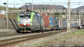 BLS Cargo mit LKW Walter und Lokzug SBB Cargo 482 [upl. by Rask]