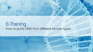 Sample preparation for nucleic acid extraction [upl. by Yrian486]