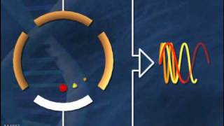 Fourier Transform Ion Cyclotron Resonance Mass Spectrometry [upl. by Valerye]