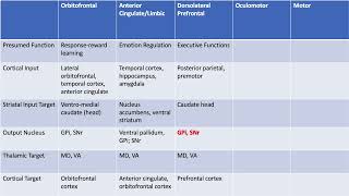 ABPPCN FrontalSubcortical Loops [upl. by Fachini]