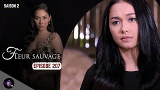 FLEUR SAUVAGE Episode 207 en français  HD [upl. by Armstrong]